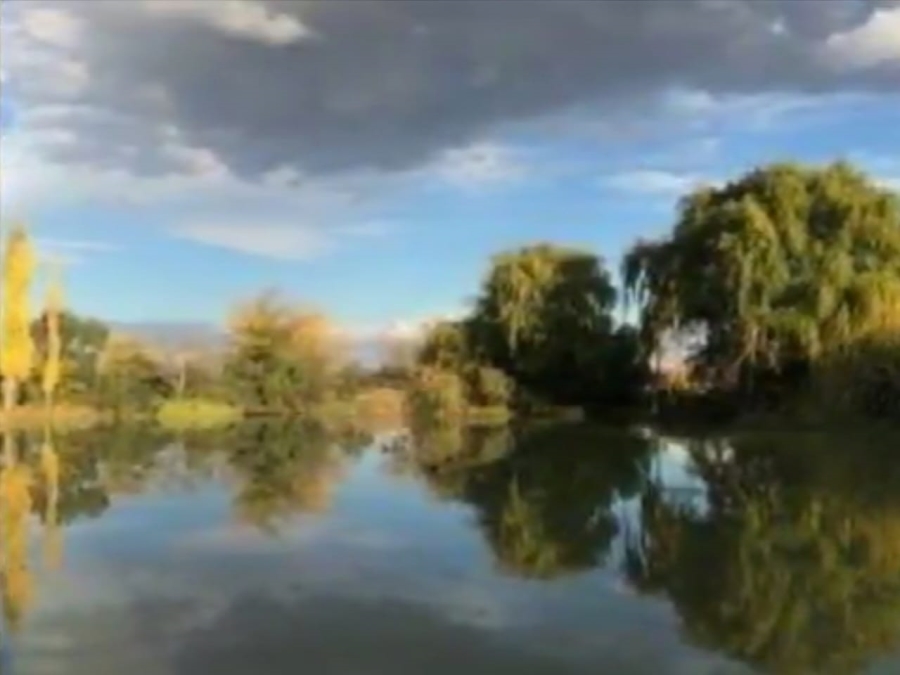 Commercial Property for Sale in Bloemfontein Rural Free State